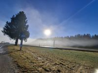 weiter durch den Nebel