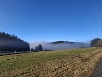 manchmal auch über dem Nebel