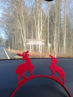 Fahrt durch den Nationalpark Bay. Wald