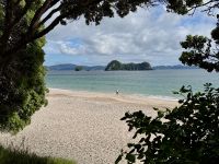 8. Tag: Coromandel-Halbinsel – Kurzer Stopp am Hahei Beach