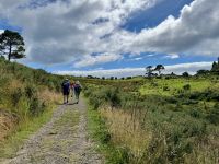 8. Tag: Coromandel-Halbinsel – Spaziergang zur Cathedral Cove