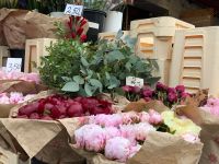  ...echter Blütenpracht