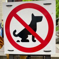 Geheimnis einer sauberen Stadt