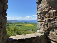 Blick auf den See Vättern