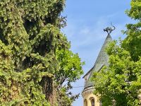 Haus mit schwarzer Katze