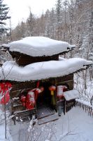 Winterwanderung durch den Vulkanischen Steinwald in Changbaishan - China