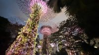 Gardens by the Bay, Singapur 