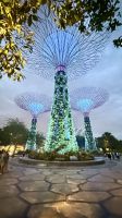 Gardens by the Bay, Singapur 