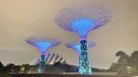 Gardens by the Bay, Singapur 