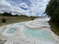 10. Tag: Rotorua bis Tongariro-Nationalpark – Maori-Führung durch die Wairakei Terraces & Thermal Health Spa