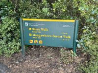 11. Tag: Tongariro-Nationalpark bis Wellington – Rimu Walk im Nationalpark