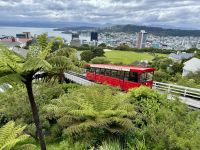 12. Tag: Freizeit in Wellington – Fahrt mit dem Cable Car zum Botanischen Garten
