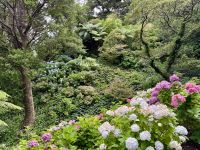 12. Tag: Freizeit in Wellington – Spaziergang durch den Botanischen Garten