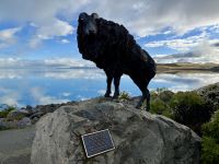 15. Tag: Lake Tekapo bis Dunedin – Fotostopp am Lake Pukaki