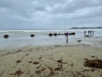 15. Tag: Lake Tekapo bis Dunedin – Spaziergang zu den Moeraki Boulders