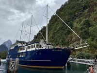 16. Tag: Dunedin bis Milford Sound – Ankunft im Milford Sound