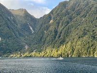 17. Tag: Milford Sound bis Queenstown – Bootstour durch den Milford Sound, Teil 2