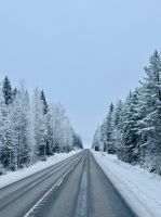 3. Tag - Finnische Winterlandschaft 