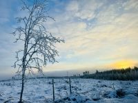 4. Tag - Finnische Winterlandschaft 