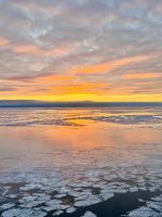 4. Tag - Fahrt von Vaasa nach Umeå mit der Wasalinie