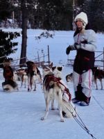 5. Tag - Besuch auf der Huskyfarm, Finnland