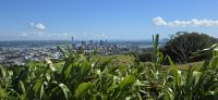 Mount Eden (4)