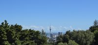 Mount Eden (6)