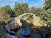 alte Tragtierbrücke in Carrbridge