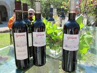 Wein des Gutes von Son Puig