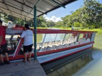 Bootsfahrt im Tortuguero NP