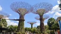 Gardens by the Bay, Singapur 