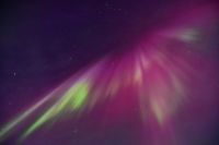 Hurtigruten - Midnatsol - Extrem Polarlicht - Kp 9 - Tag 03 - Reiseleiter Martin Büchner