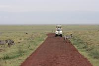 Im Ngorongoro Crater