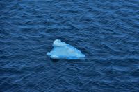 Eis im Varangerfjord aus dem Pasvikfluss