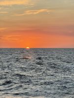 Hafen Madryn, Argentinien.
