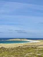 Gypsy Cove, Stanley, Falkalnd Insel.