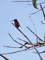 Garten Ralli Museum, Punta del Este, Uruguay.
