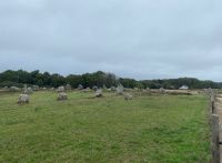  ...von Carnac