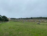 An den Steinreihen...