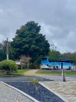 Unser luxuriöser Bus