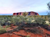 Uluru im Morgengrauen