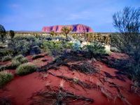 Sonnenaufgang am Ayers Rock - Uluru