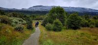 Wanderung im Feuerland Nationalpark Argentinien