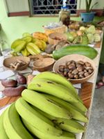 Tropische Früchte aller Art