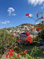 Blick über St. George's