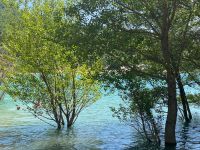Lac de Sainte-Croix
