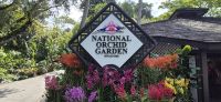 28 Orchideengarten in Singapur