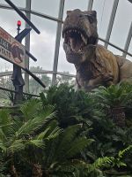 Gardens by the Bay - Cloud Forest 2