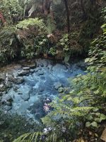 heilige Quelle im Maori Dorf