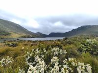 Dove Lake im Cradle Mountain Nationalpark